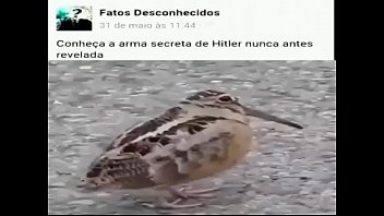 Arma Secreta de Hitler